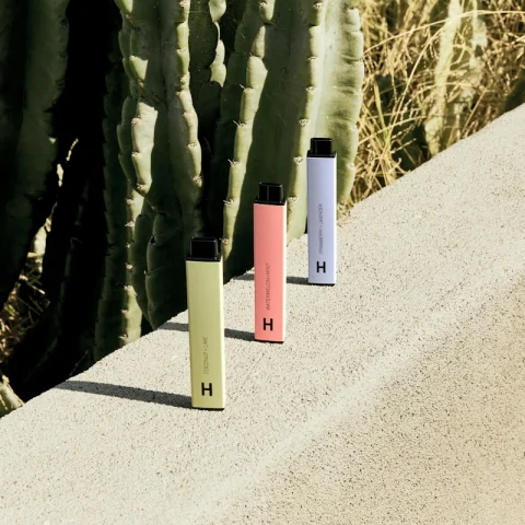 Elf Bar Lost Mary Mango (producto de muestra)