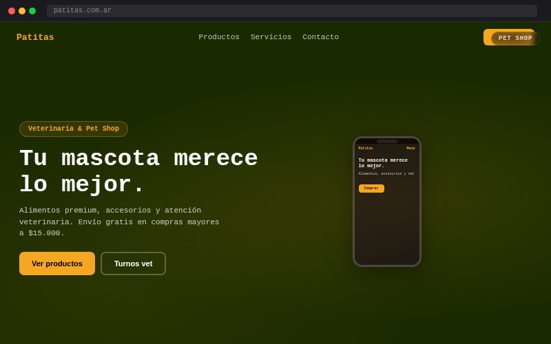 Diseño web para clínica veterinaria Patitas en Belgrano, CABA — ejemplo de página web profesional para veterinarias